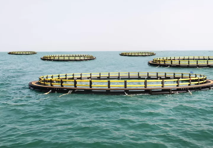 hdpe fish cage