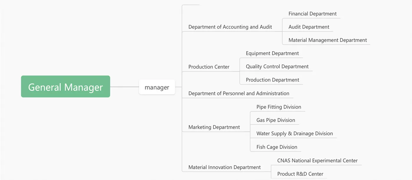 Company Structure